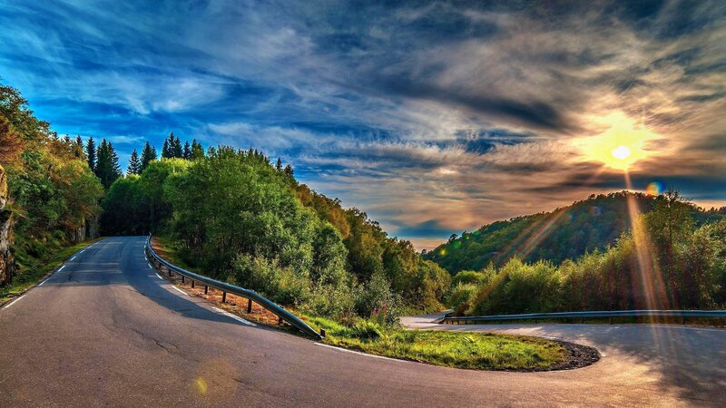 Winding Road in Forest — Blue, Dramatic