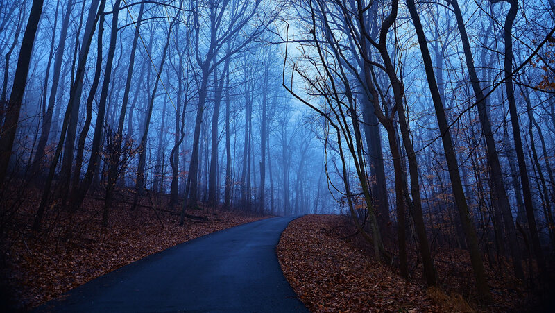 Winding Road in Forest — Blue, Mysterious