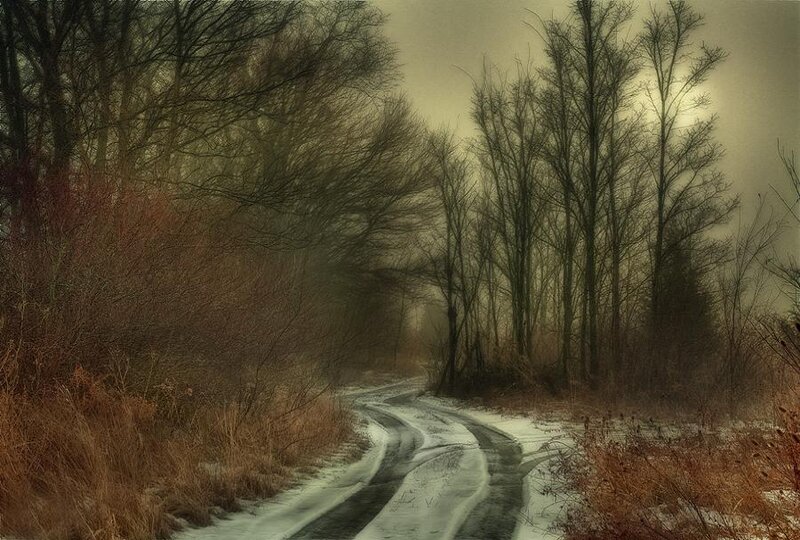 Winding Road in Forest — Brown, Dreary