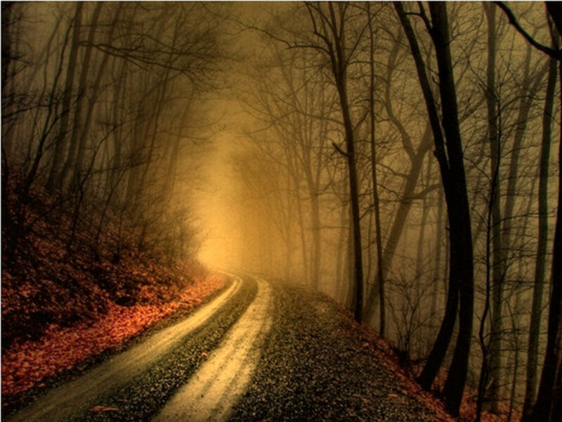 Winding Road in Forest — Brown, Mysterious, Autumn
