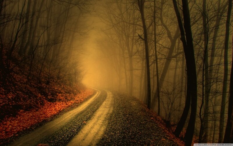 Winding Road in Forest — Brown, Mysterious