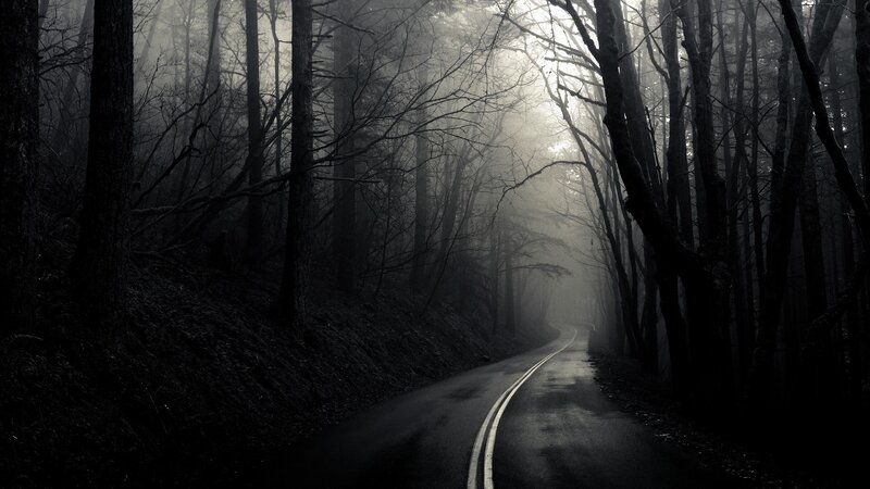 Winding Road in Forest — Dark, Photograph