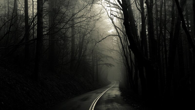 Winding Road in Forest — Dark, Trees