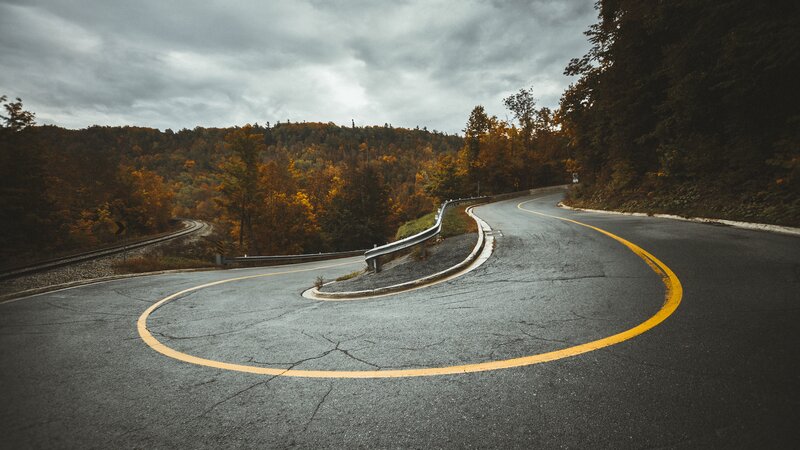 Winding Road in Forest — Gray, Dramatic