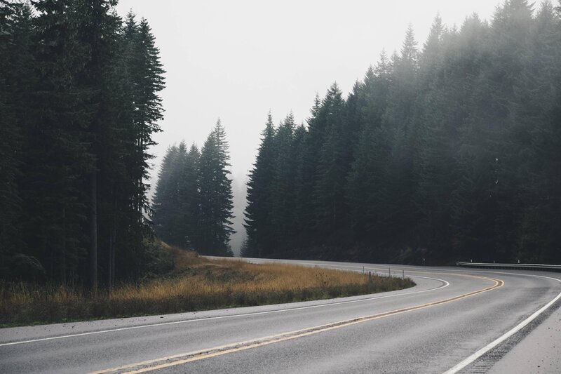 Winding Road in Forest — Gray, Misty