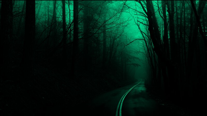 Winding Road in Forest — Green, Dark, Night