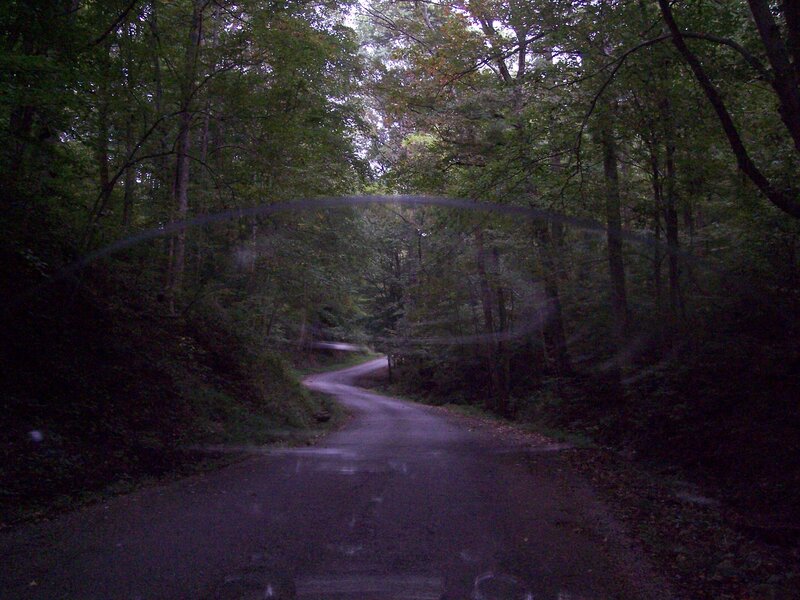 Winding Road in Forest — Green, Dark