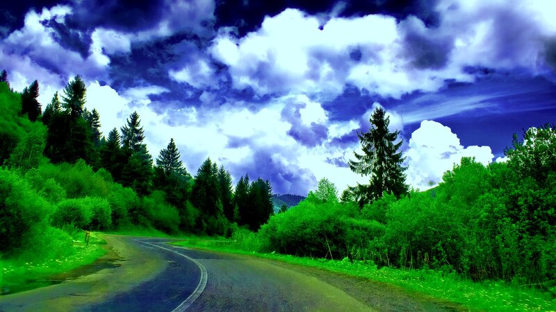 Winding Road in Forest — Green, Dramatic, Photograph