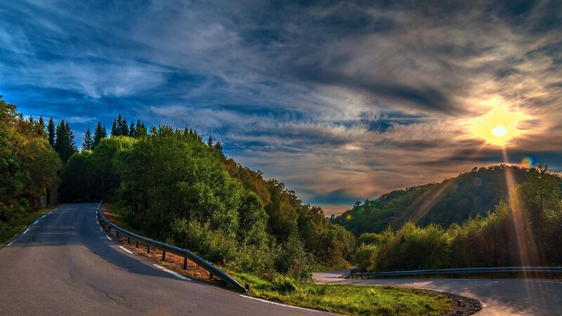 Winding Road in Forest — Green, Dramatic, Sunset, Photograph