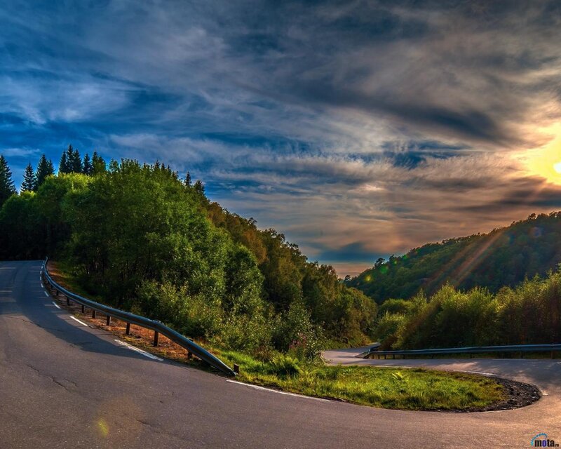 Winding Road in Forest — Green, Dramatic, Sunset