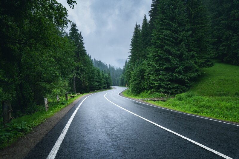 Winding Road in Forest — Green, Moody, Morning, Photograph