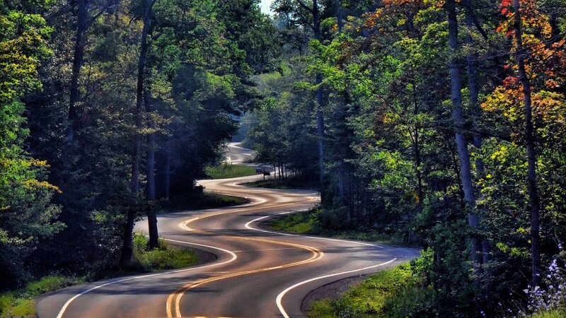Winding Road in Forest — Green, Photograph