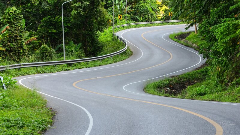 Winding Road in Forest — Green, Serene, Afternoon, Photograph, Guardrail