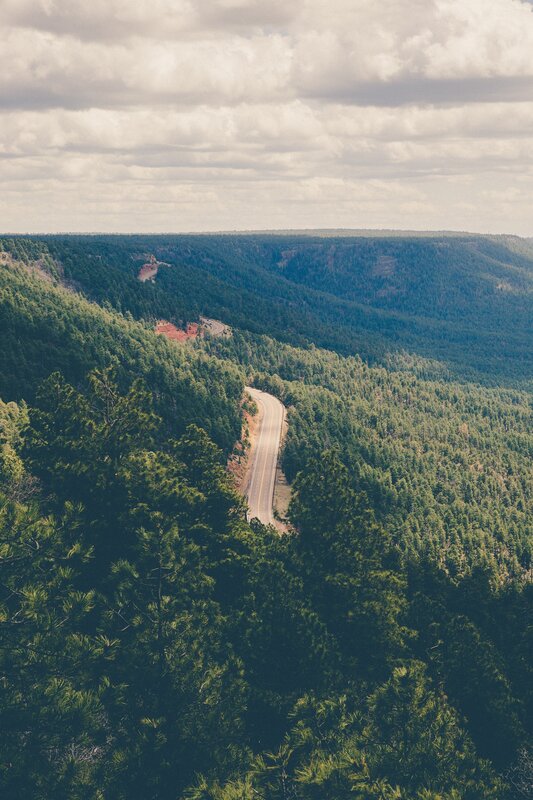 Winding Road in Forest — Green, Serene, Afternoon, Photograph, Mountain, Sky