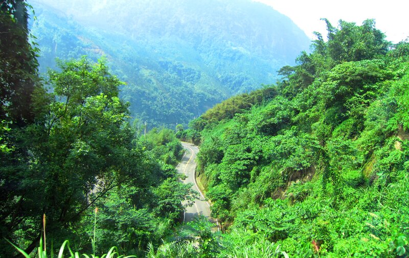 Winding Road in Forest — Green, Serene, Afternoon, Photograph, Mountain