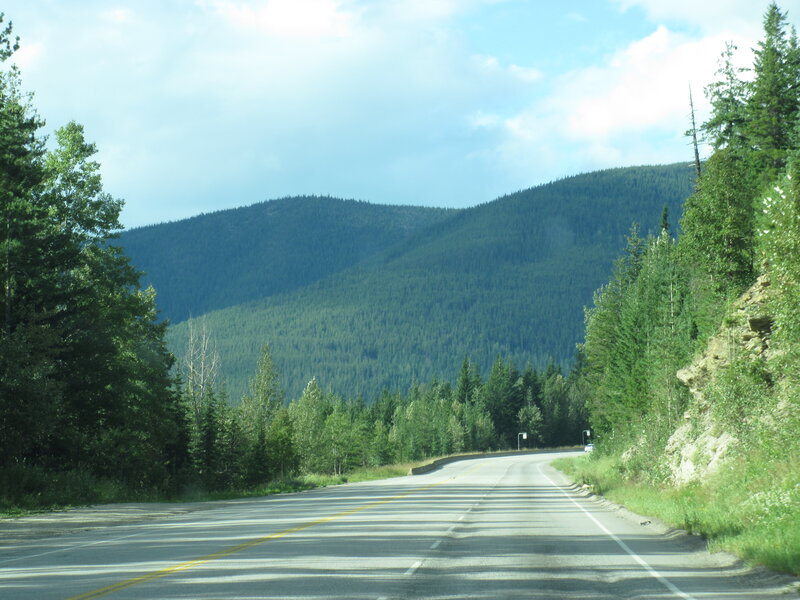 Winding Road in Forest — Green, Serene, Afternoon, Photograph, Mountain, Trees