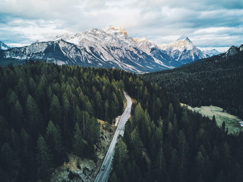 Winding Road in Forest — Green, Serene, Afternoon, Photograph, Mountains