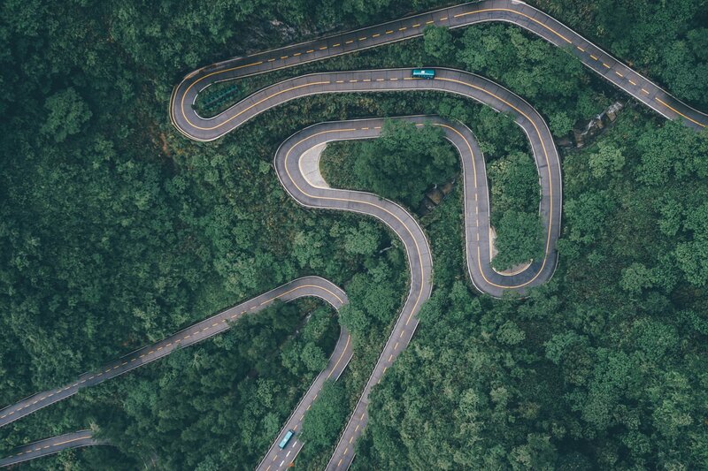 Winding Road in Forest — Green, Serene, Afternoon, Photograph, Trees, Buses