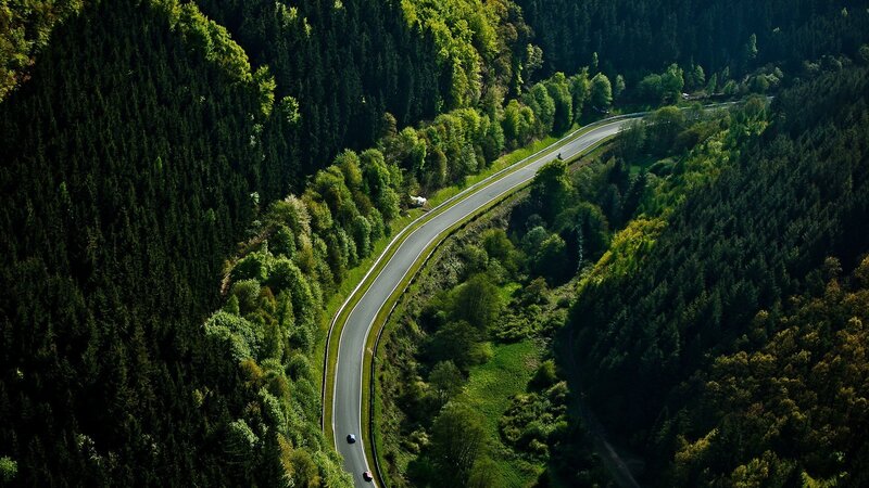 Winding Road in Forest — Green, Serene, Afternoon, Photograph, Trees, Car