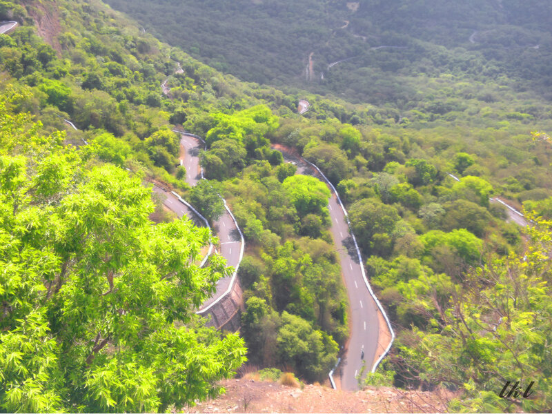 Winding Road in Forest — Green, Serene, Afternoon, Photograph, Trees, Mountain