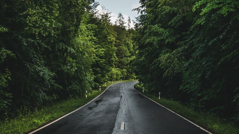 Winding Road in Forest — Green, Serene, Afternoon, Photograph, Trees, Sky