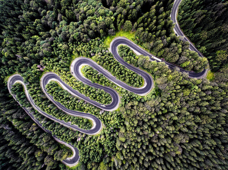Winding Road in Forest — Green, Serene, Afternoon, Photograph, Trees, Vehicles