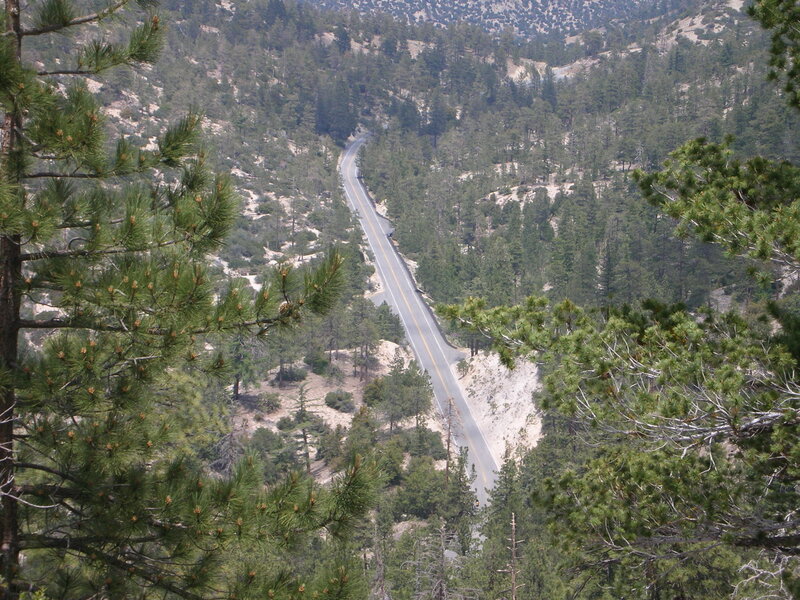 Winding Road in Forest — Green, Serene, Afternoon
