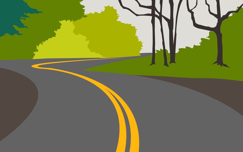 Winding Road in Forest — Green, Serene, Afternoon, Vector Art
