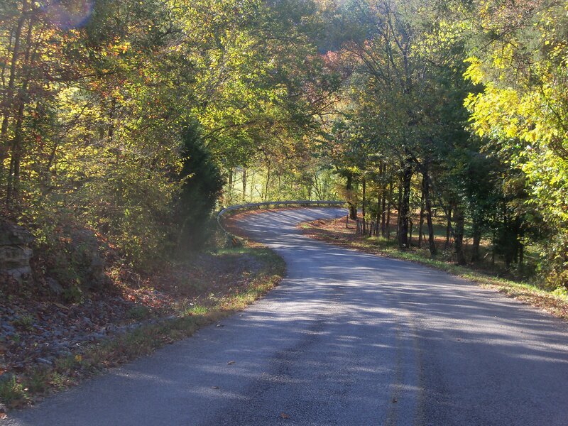 Winding Road in Forest — Green, Serene, Autumn, Photograph, Trees, Guardrail