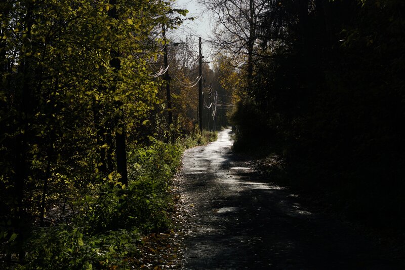 Winding Road in Forest — Green, Serene, Autumn, Photograph, Trees, Power Lines