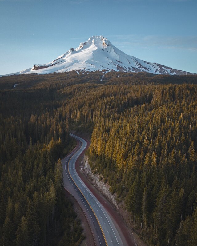 Winding Road in Forest — Green, Serene, Morning, Photograph, Mountain