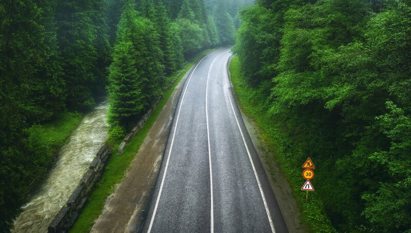Winding Road in Forest — Green, Serene, Morning, Photograph, River