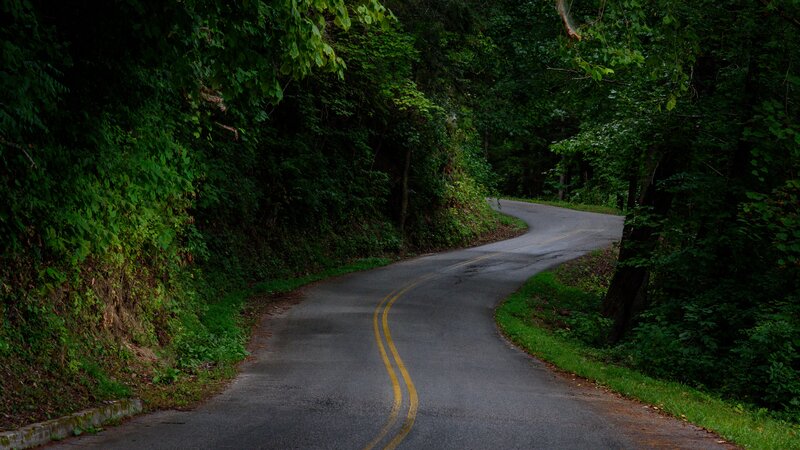 Winding Road in Forest — Green, Serene, Night, Photograph, Trees, Yellow Lines