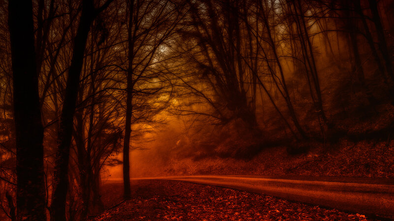 Winding Road in Forest — Orange, Dark