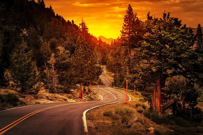 Winding Road in Forest — Orange, Dramatic, Sunset