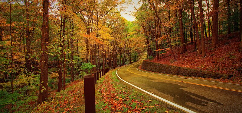 Winding Road in Forest — Orange, Serene, Autumn