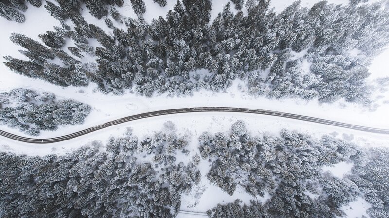 Winding Road in Forest — White, Serene