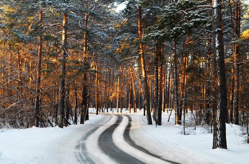 Winding Road in Forest — White