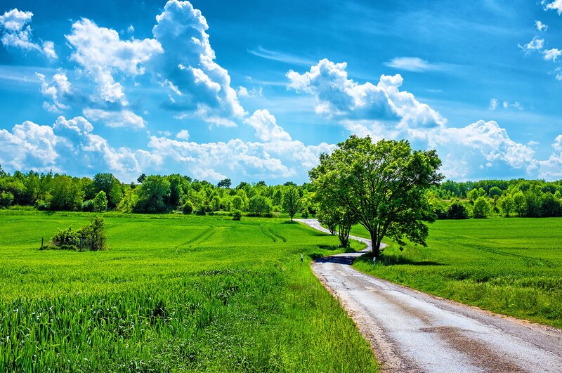 Winding Road in Green Field