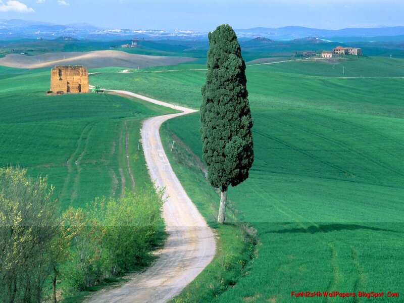 Winding Road in Green Fields