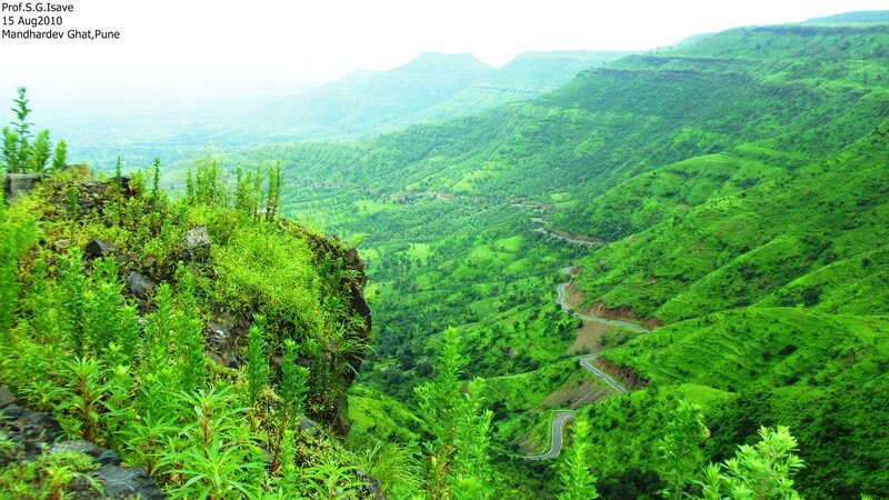 Winding Road in Green Hills — Serene