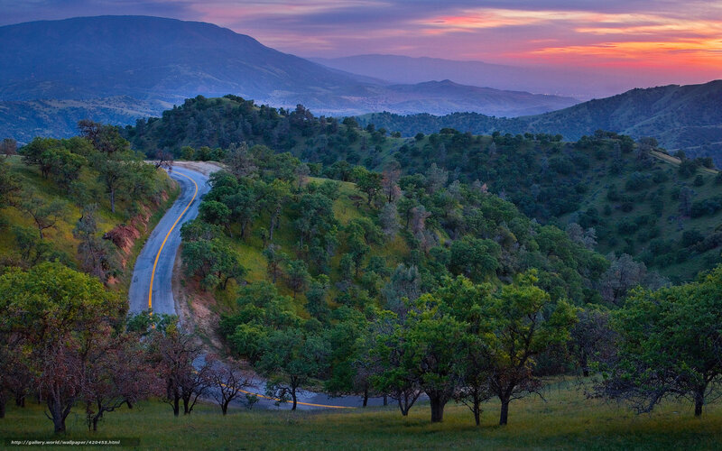 Winding Road in Hills — Green, Serene, Sunset, Photograph, Mountains