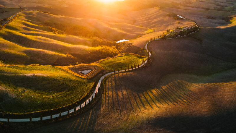 Winding Road in Hills — Green, Serene, Sunset, Photograph, Trees, Sun
