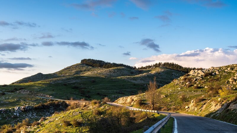 Winding Road in Hills — Green, Serene, Sunset, Photograph, Trees