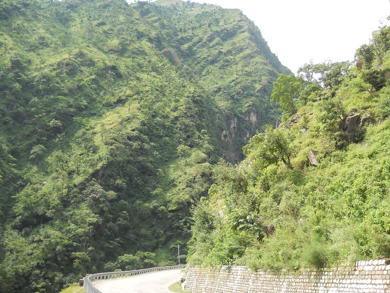 Winding Road in Mountain Valley — Green, Natural