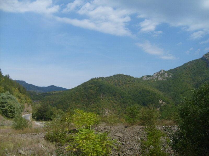 Winding Road in Mountain Valley — Green, Serene