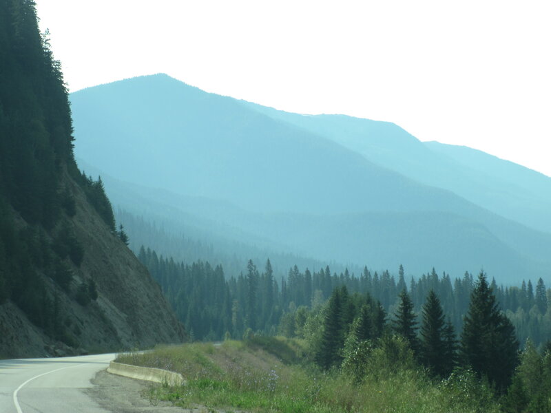 Winding Road in Mountains — Green, Serene, Afternoon, Photograph, Forest