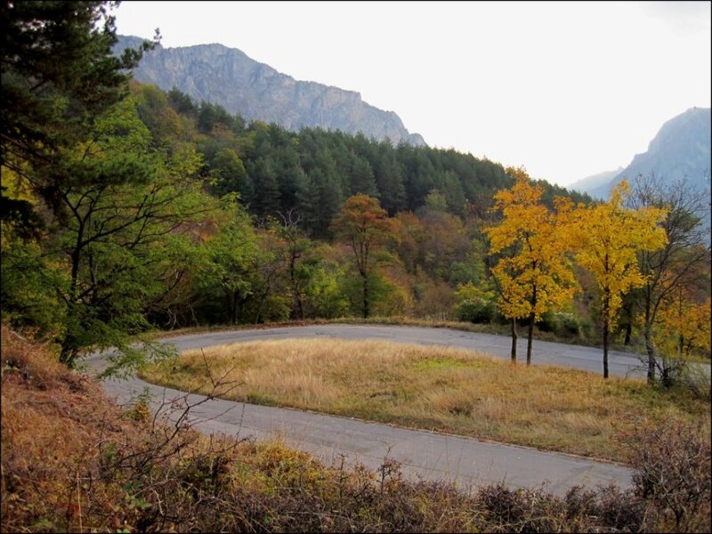 Winding Road in Mountains — Green, Serene, Autumn