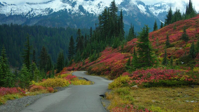 Winding Road in Mountains — Red, Serene