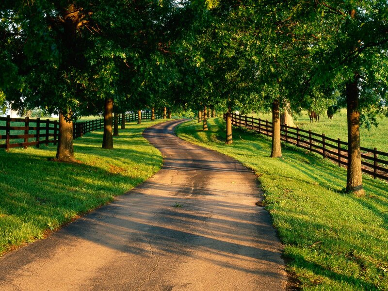 Winding Road in Park — Green